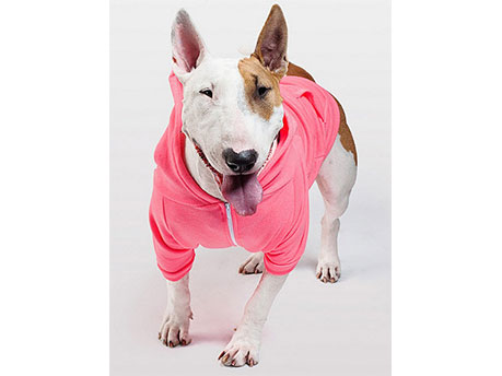 Pink Zip Up Dogs image