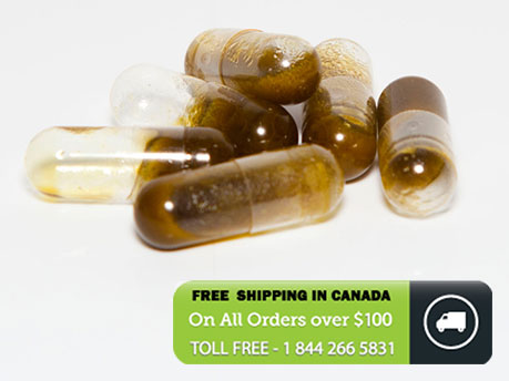 CBD / THC 1:1 Oil Caps (35 mg) image