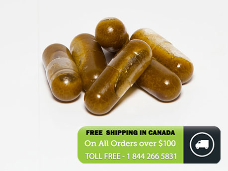 CBD / THC 1:1 Oil Caps (100 mg) image