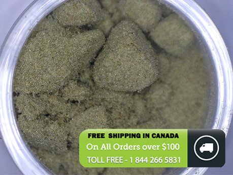 Black Tuna Keif (Hybrid) image