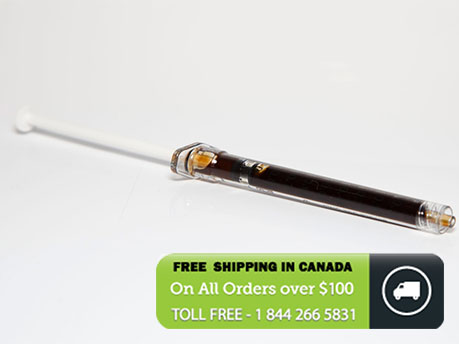 CBD/THC 1:1 Oil Syringe 1ml image